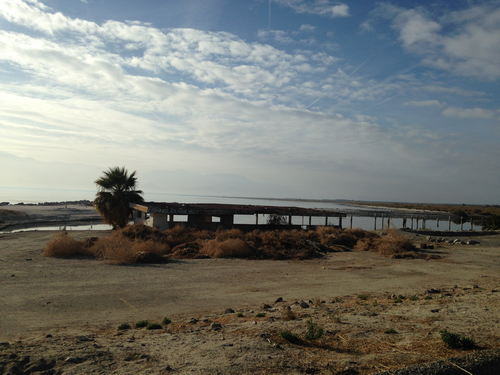 Salton Sea Area - 2015-2020 Photos